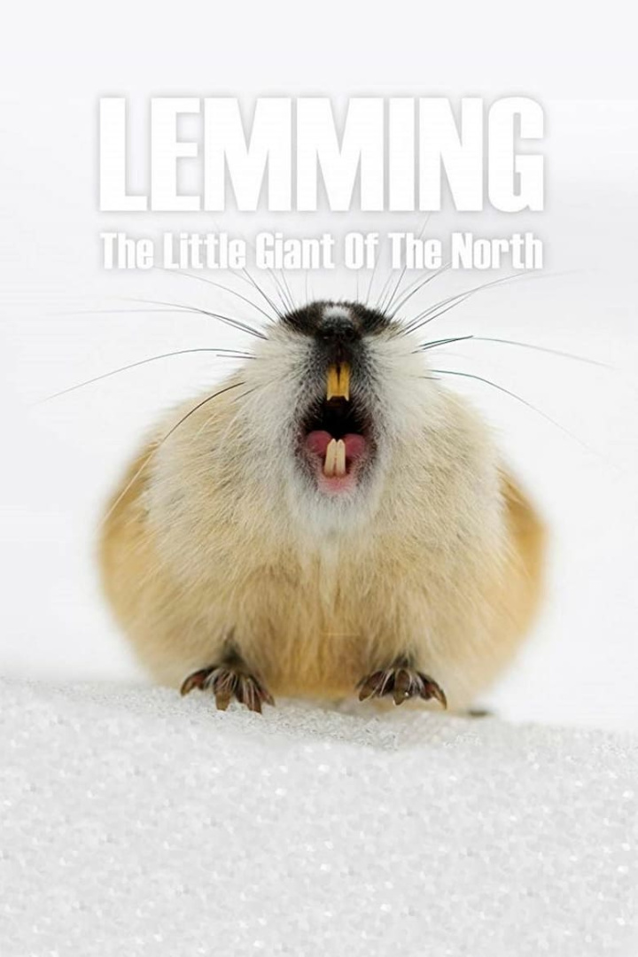 Lemming: The Little Giant of the North i gruppen Alla filmer / Documentary hos Mohamad shop (614705)