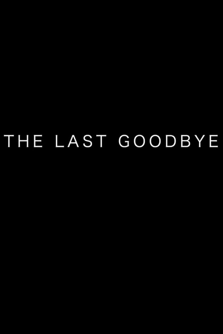 The Last Goodbye i gruppen Alla filmer / Drama hos Mohamad shop (614912)