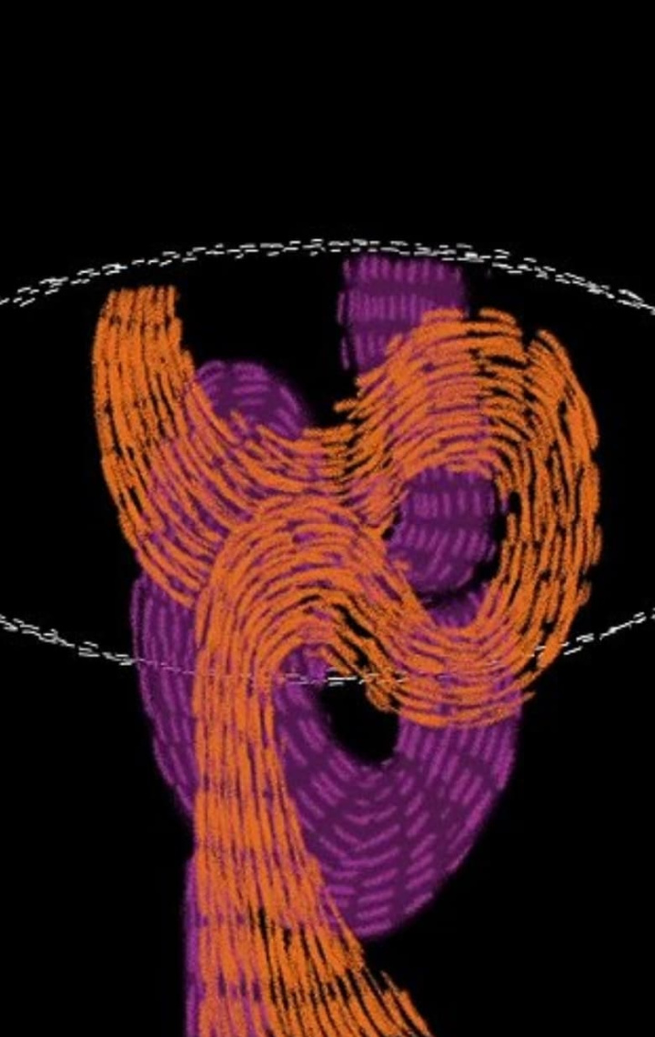 SCENTation SYNESTHESIA i gruppen Alla filmer / Animation hos Mohamad shop (615418)