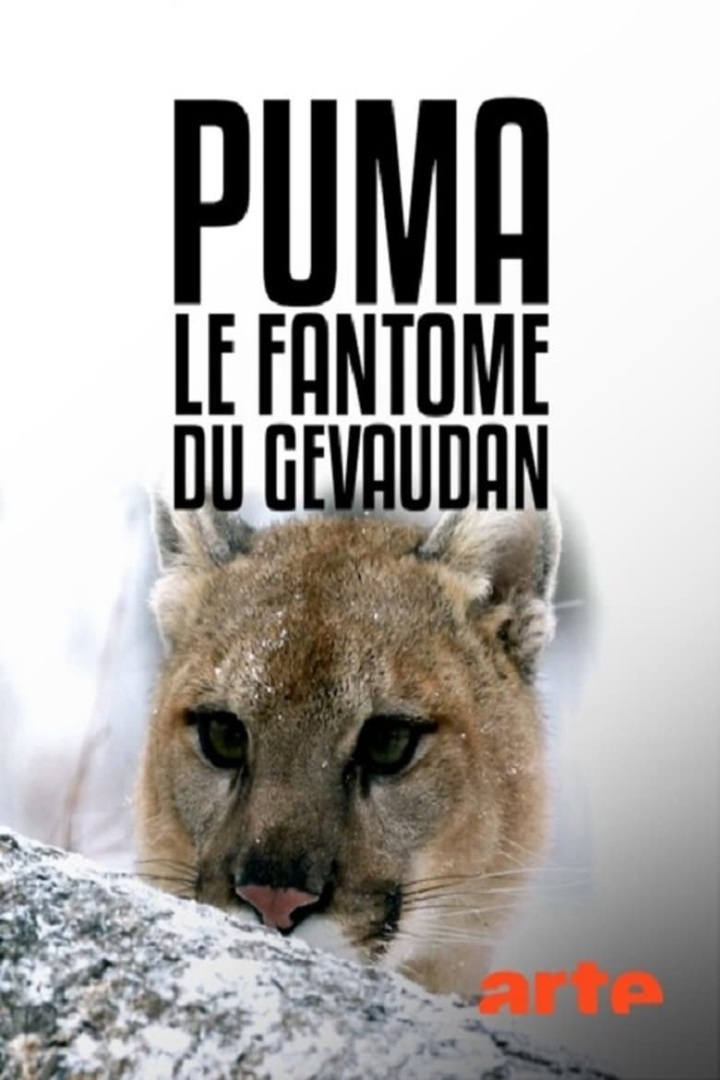 Puma, le fantôme du Gévaudan i gruppen Alla filmer / Documentary hos Mohamad shop (615738)