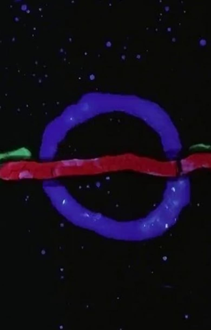 Twilight i gruppen Alla filmer / Animation hos Mohamad shop (615887)