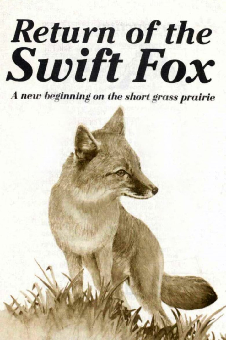 Return of the Swift Fox i gruppen Alla filmer / Documentary hos Mohamad shop (615901)