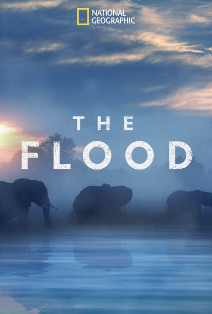 The Flood i gruppen Alla filmer / Documentary hos Mohamad shop (616104)