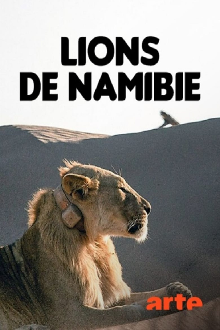 Lions de Namibie, les rois du désert i gruppen Alla filmer / Documentary hos Mohamad shop (616261)