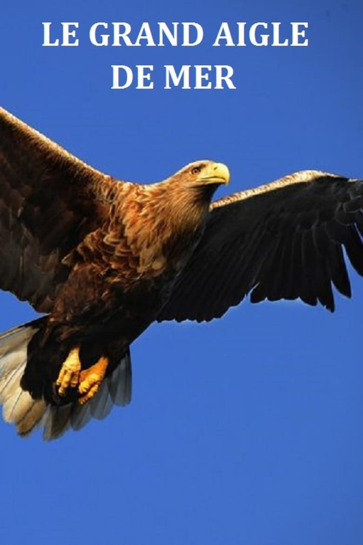 Le grand aigle de mer i gruppen Alla filmer hos Mohamad shop (616263)