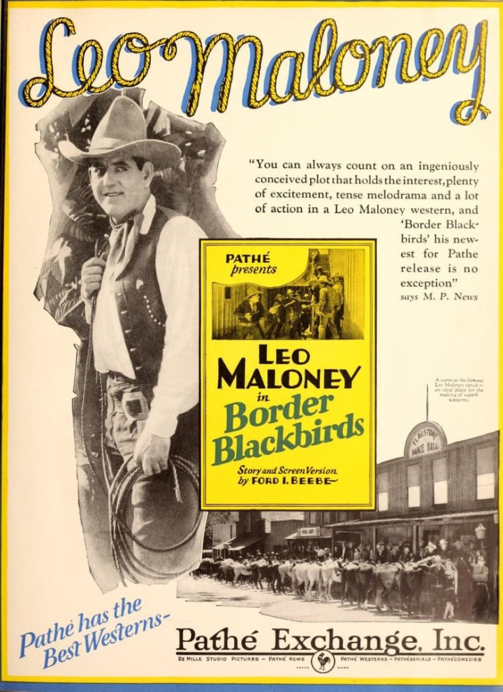 Border Blackbirds i gruppen Alla filmer / Western hos Mohamad shop (616386)