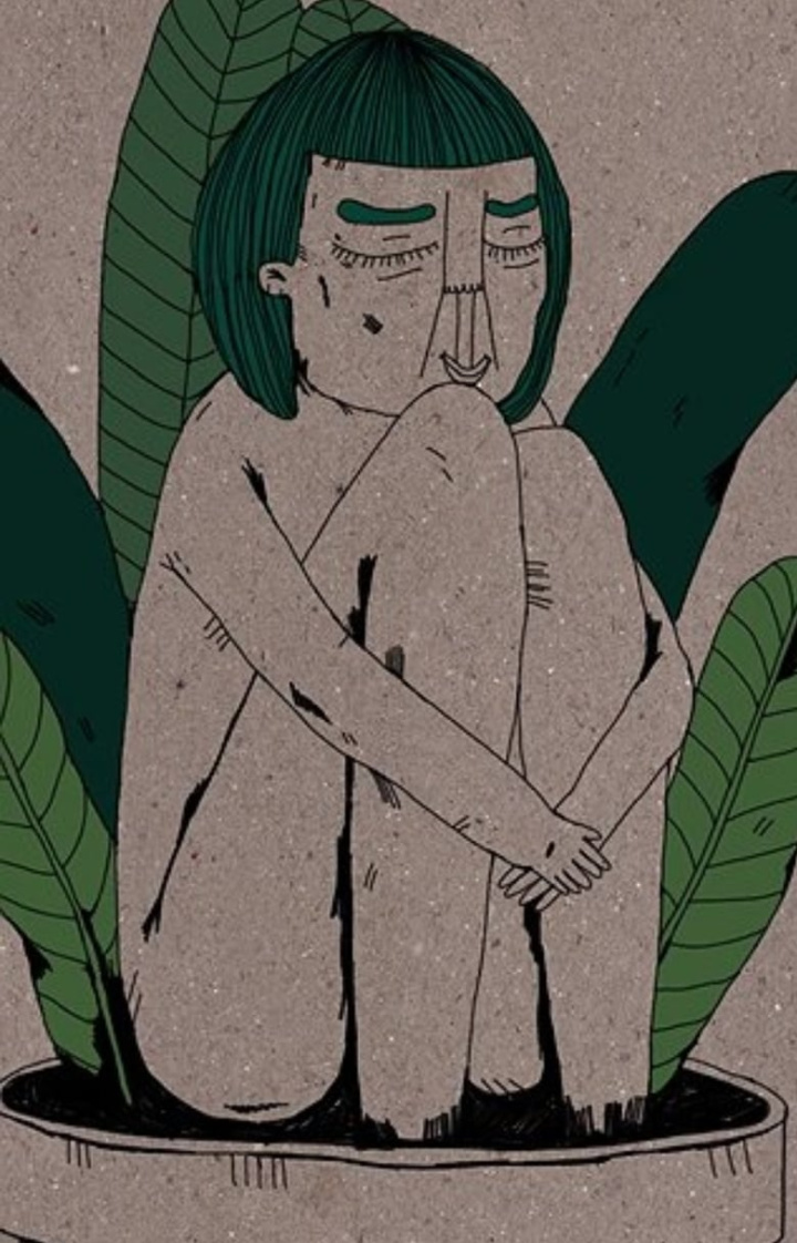 Thicket i gruppen Alla filmer / Animation hos Mohamad shop (616535)