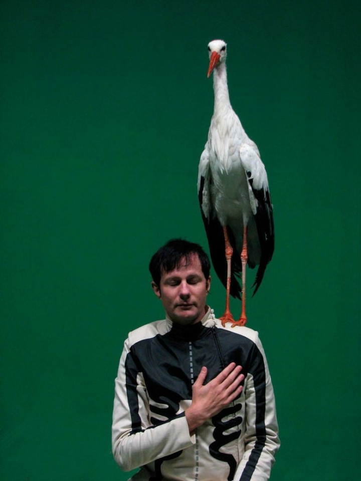 Felix in Wonderland i gruppen Alla filmer / Documentary hos Mohamad shop (616618)