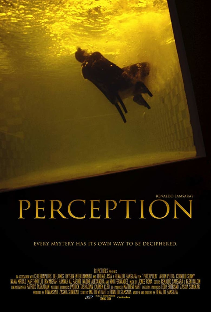 Perception i gruppen Alla filmer / Thriller hos Mohamad shop (616846)