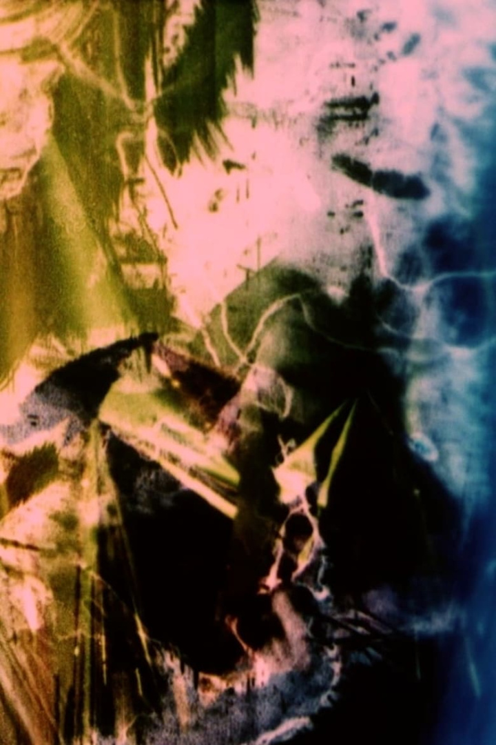 (tourism studies) i gruppen Alla filmer hos Mohamad shop (617072)