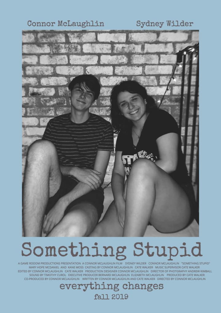 Something Stupid i gruppen Alla filmer / Drama hos Mohamad shop (617666)