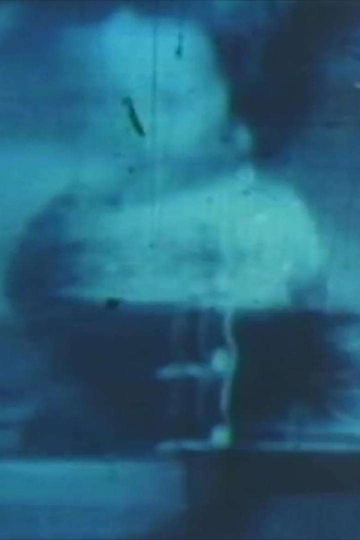 Fissures i gruppen Alla filmer / Documentary hos Mohamad shop (617670)