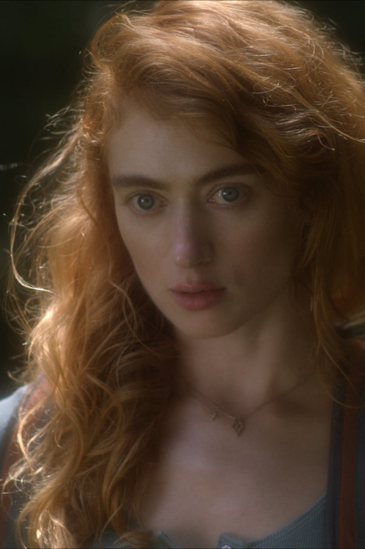 A Dim Valley i gruppen Alla filmer hos Mohamad shop (617674)