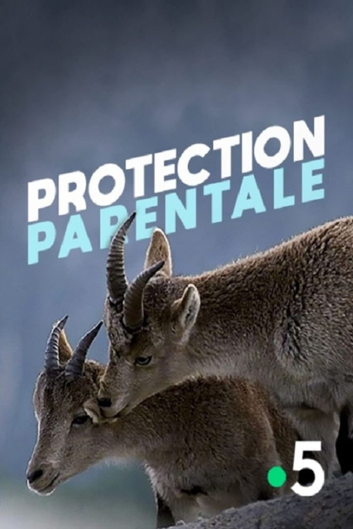Protection parentale i gruppen Alla filmer / Documentary hos Mohamad shop (617745)
