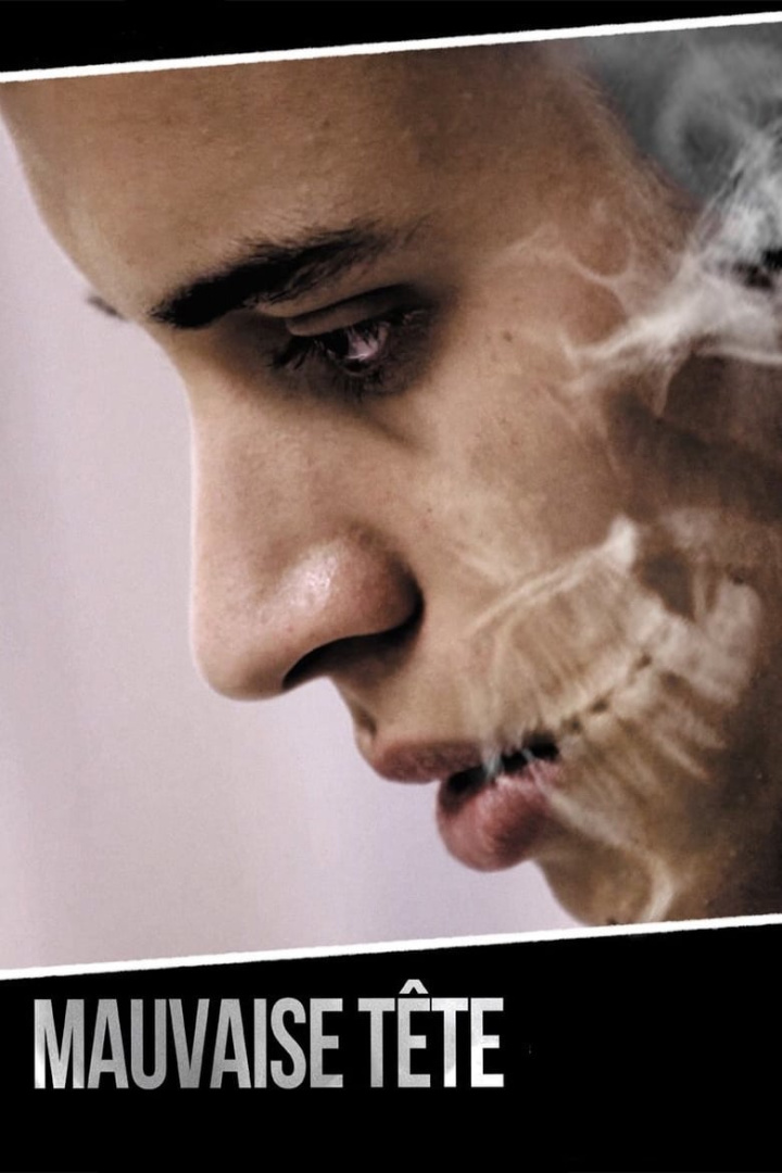 Mauvaise tête i gruppen Alla filmer / Drama hos Mohamad shop (617823)