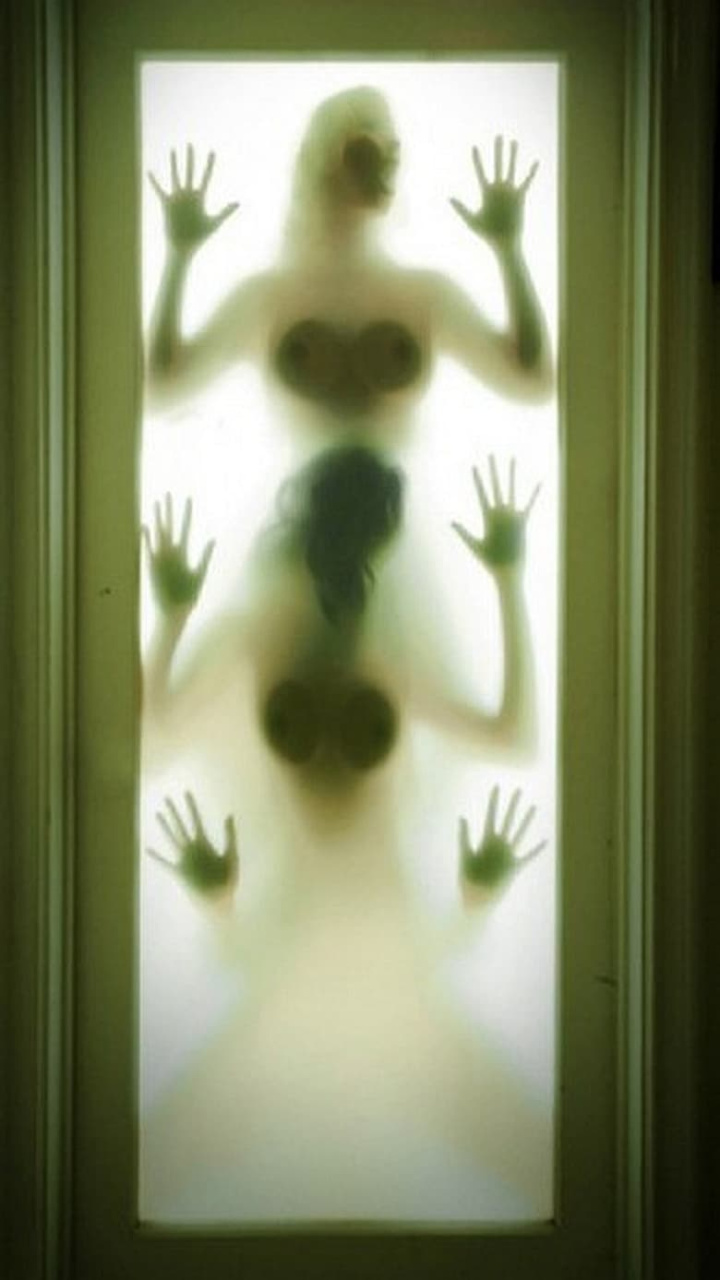 The Human Sexipede i gruppen Alla filmer / Comedy hos Mohamad shop (617863)