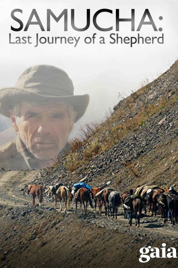 Samucha, un dernier été dans le Caucase i gruppen Alla filmer / Documentary hos Mohamad shop (618202)