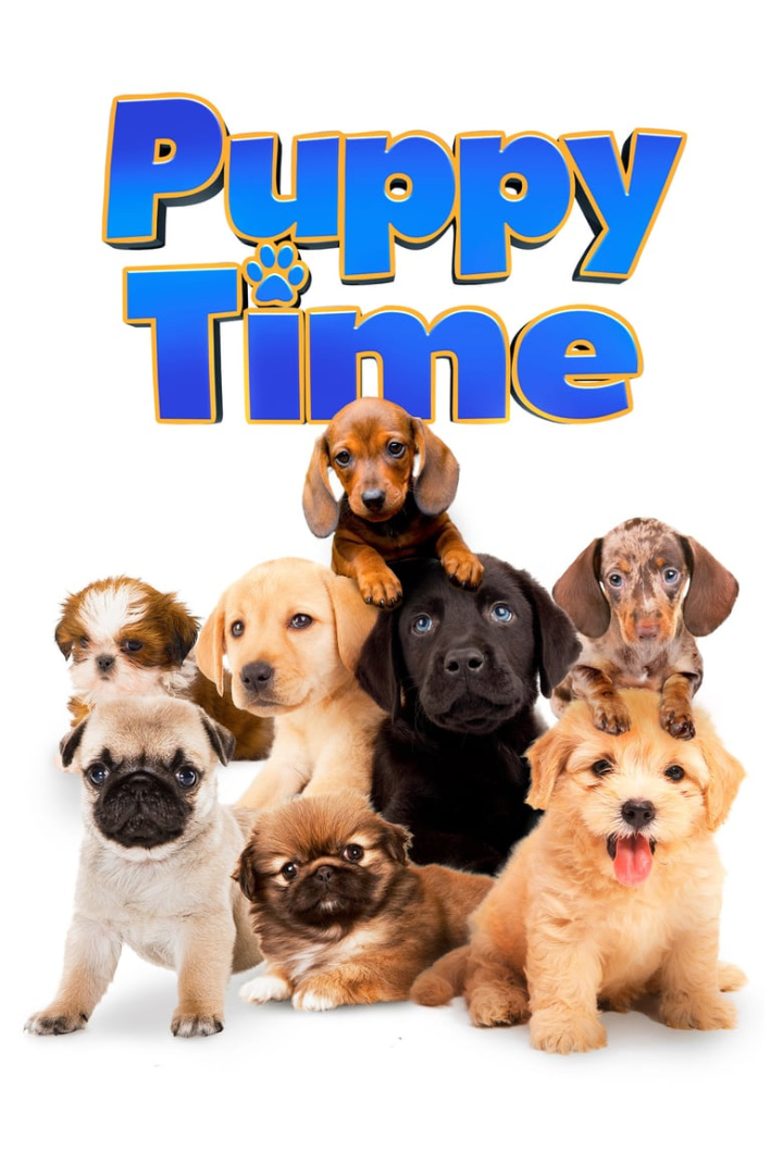 Puppy Time! i gruppen Alla filmer / Documentary hos Mohamad shop (618227)