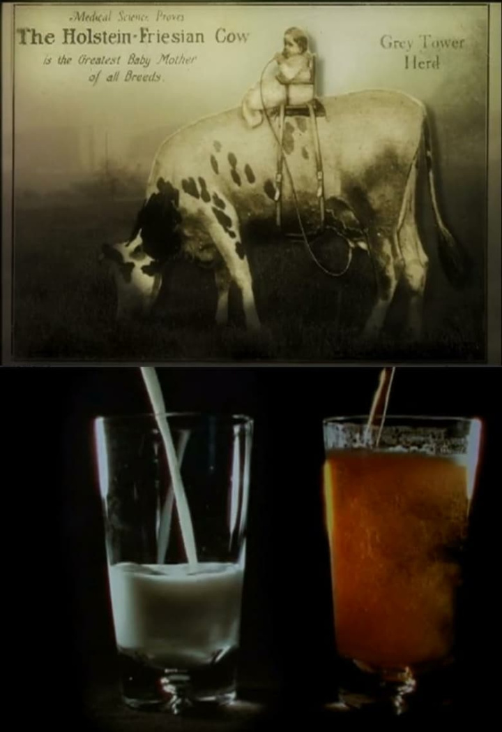 Notes on Milk i gruppen Alla filmer / Documentary hos Mohamad shop (618442)
