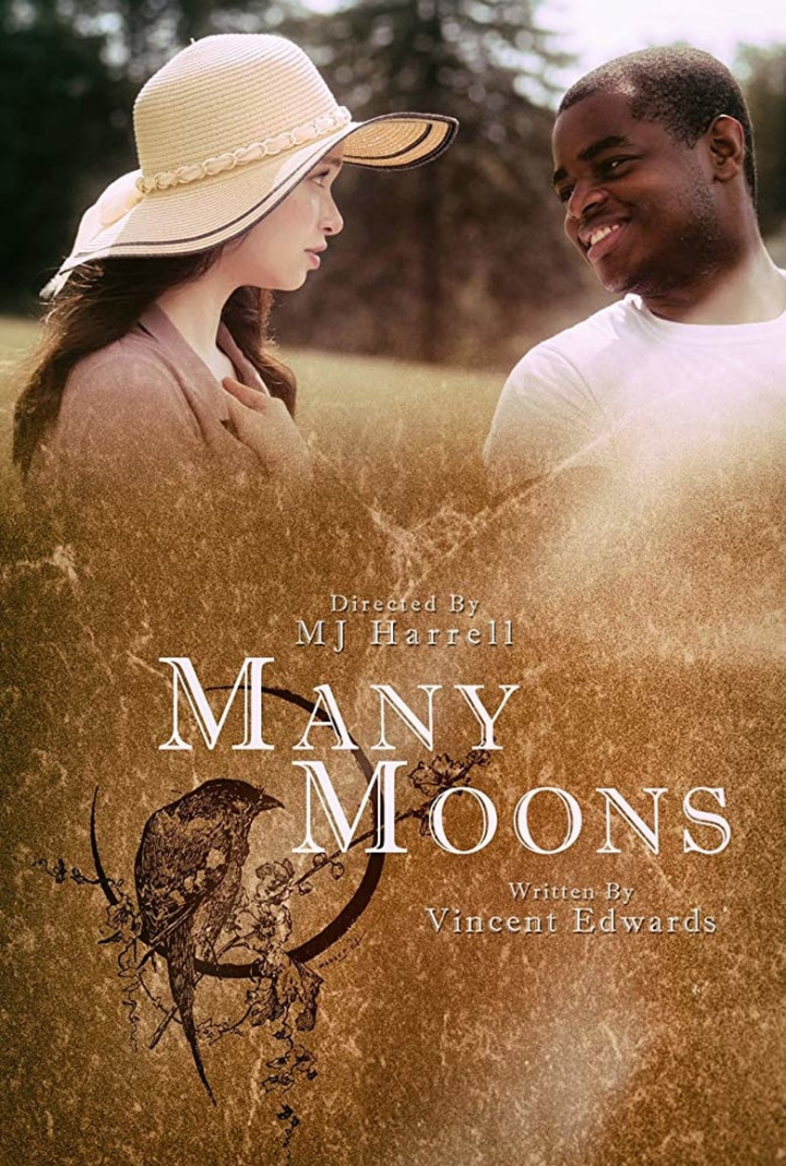 Many Moons i gruppen Alla filmer / Romance hos Mohamad shop (618615)