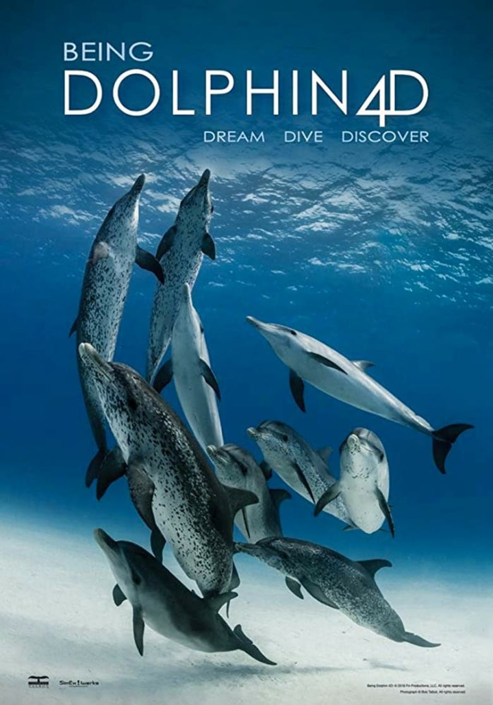 Being Dolphin 4D i gruppen Alla filmer / Documentary hos Mohamad shop (618894)