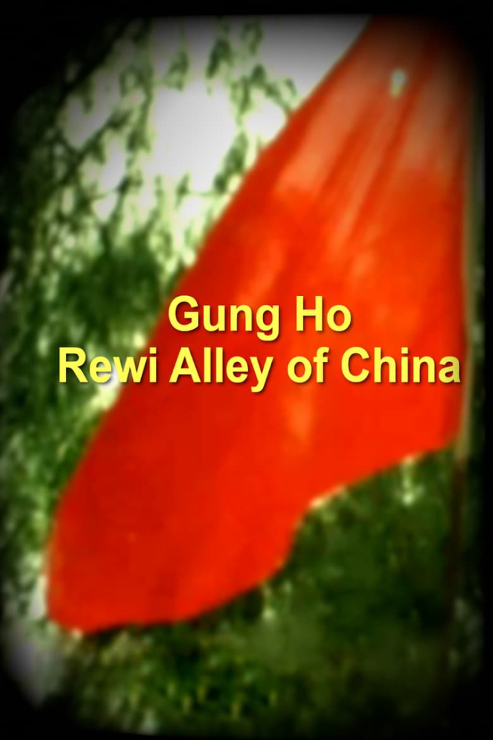 Gung Ho - Rewi Alley of China i gruppen Alla filmer / History hos Mohamad shop (619020)