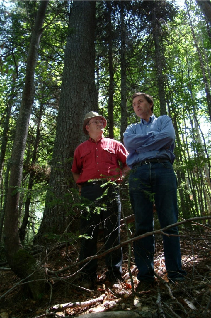 Forbidden Forest i gruppen Alla filmer / Documentary hos Mohamad shop (619690)