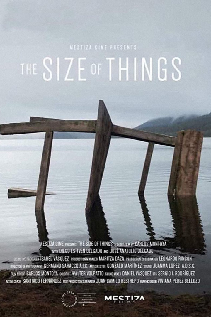 The Size of Things i gruppen Drama hos Mohamad shop (619781)