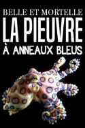 Belle et mortelle, la pieuvre à anneaux bleus