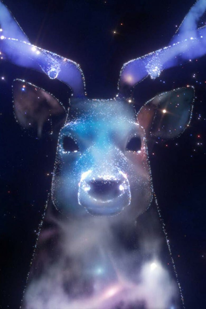 Zenith i gruppen Alla filmer hos Mohamad shop (621444)