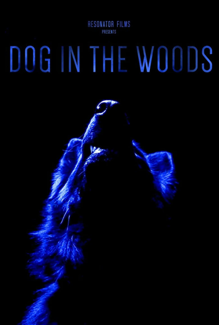 Dog in the Woods i gruppen Drama hos Mohamad shop (621829)