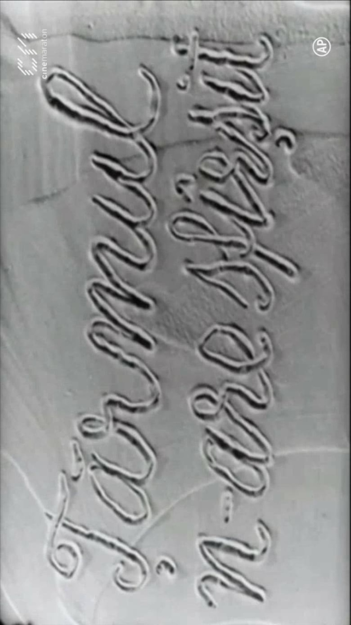 The Endless Shore i gruppen Alla filmer hos Mohamad shop (621875)