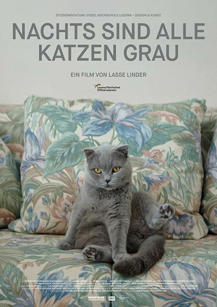 All Cats Are Grey in the Dark i gruppen Alla filmer / Documentary hos Mohamad shop (622515)