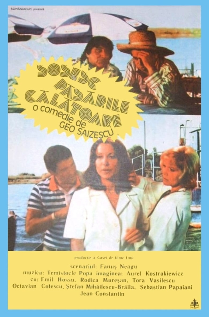 The Migrant Birds Are Coming i gruppen Alla filmer / Comedy hos Mohamad shop (623727)