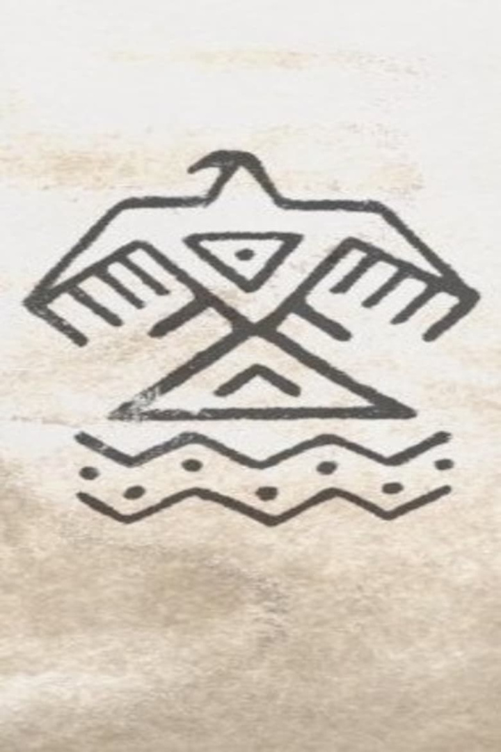 Mni Wiconi: Water is Life i gruppen Alla filmer / Animation hos Mohamad shop (624015)