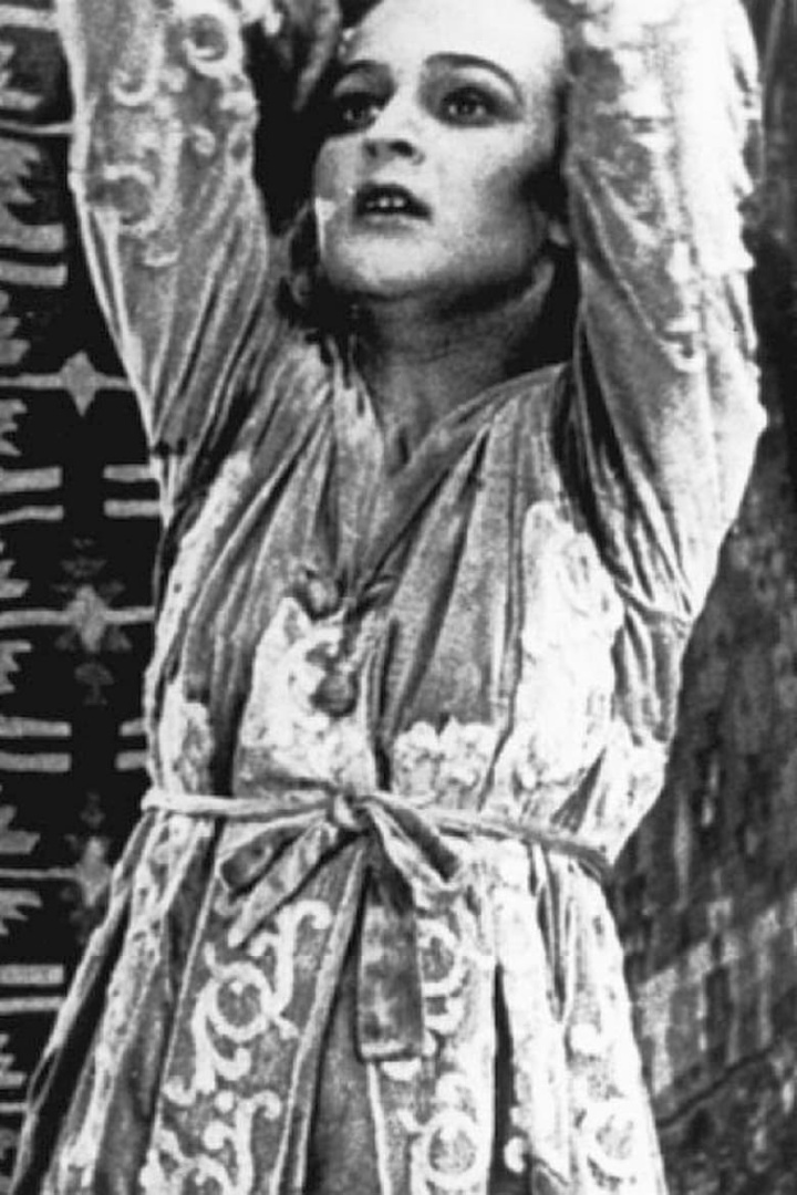 The Story of Dida Ibsen i gruppen Alla filmer hos Mohamad shop (624025)