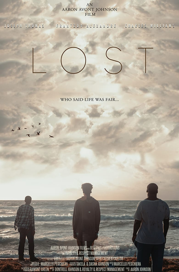 Lost i gruppen Alla filmer / Drama hos Mohamad shop (624497)