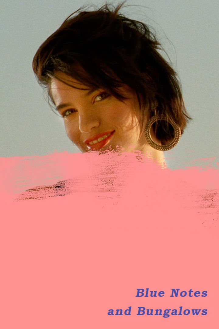 Blue Notes and Bungalows i gruppen Alla filmer / Documentary hos Mohamad shop (625167)