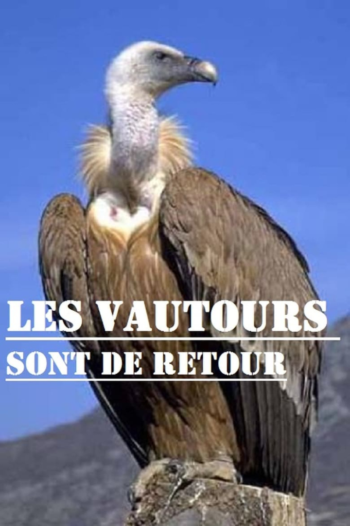 Les vautours sont de retour i gruppen Alla filmer / Documentary hos Mohamad shop (625519)