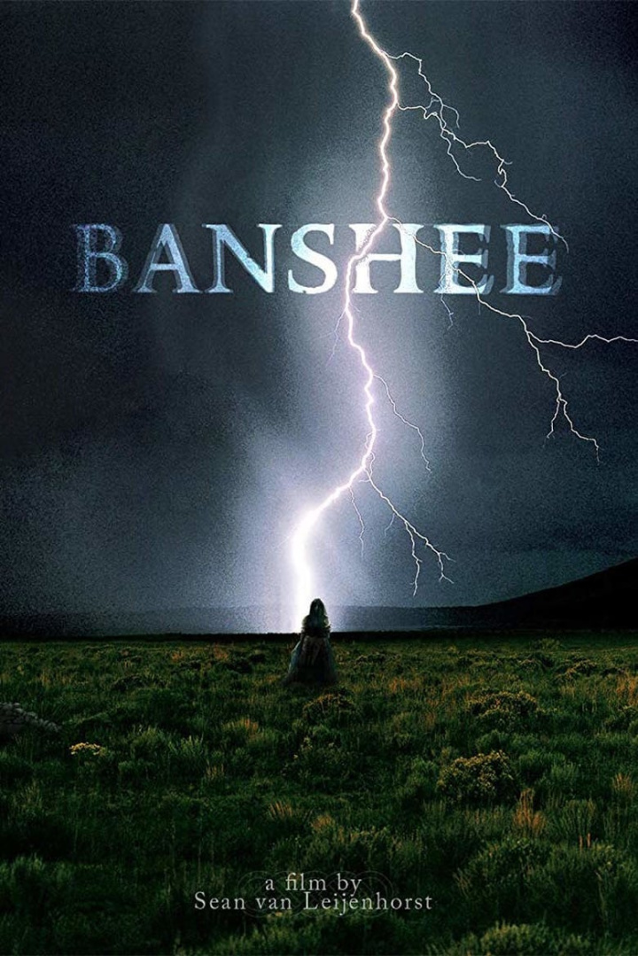 Banshee i gruppen Alla filmer / Horror hos Mohamad shop (625632)