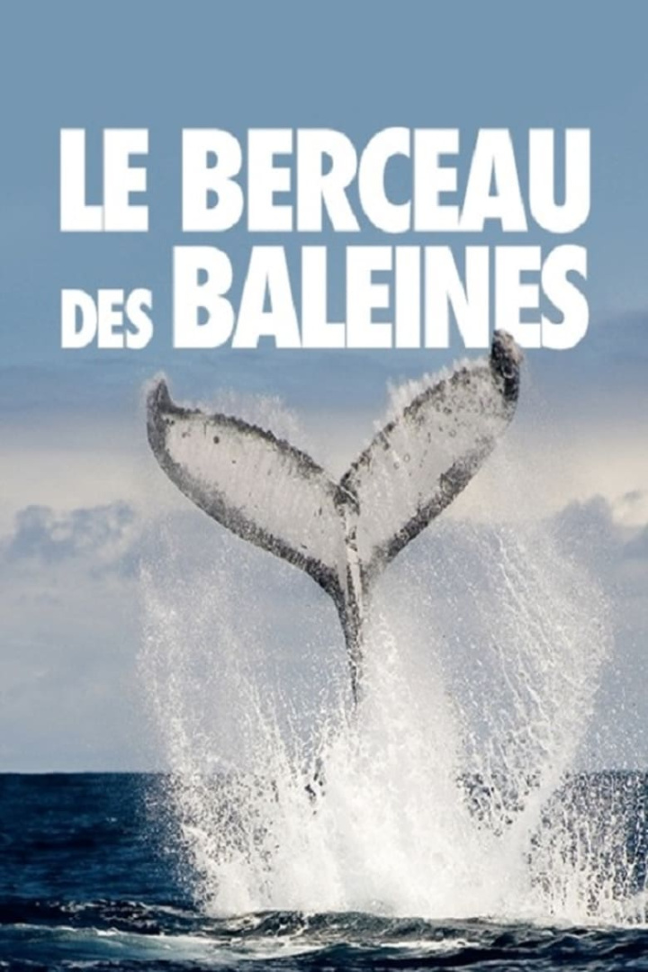 Le berceau des baleines i gruppen Alla filmer / Documentary hos Mohamad shop (626078)