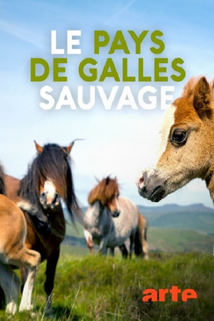 Le pays de Galles sauvage i gruppen Alla filmer / Documentary hos Mohamad shop (626080)