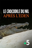 Le crocodile du Nil après l\'eden