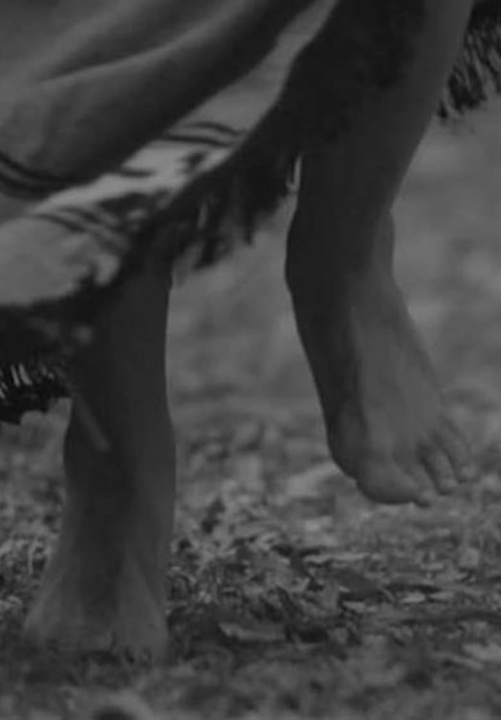 Wiñoy Xipantu, otra vuelta al sol i gruppen Alla filmer / Documentary hos Mohamad shop (626425)