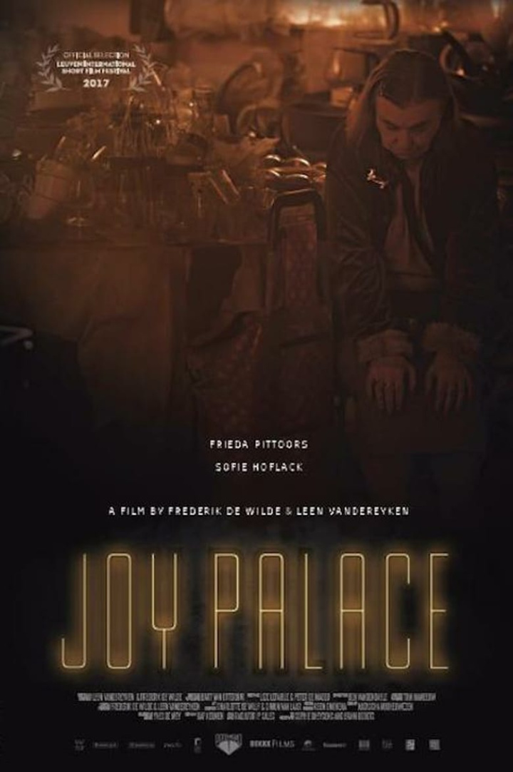 Joy Palace i gruppen Alla filmer hos Mohamad shop (626471)