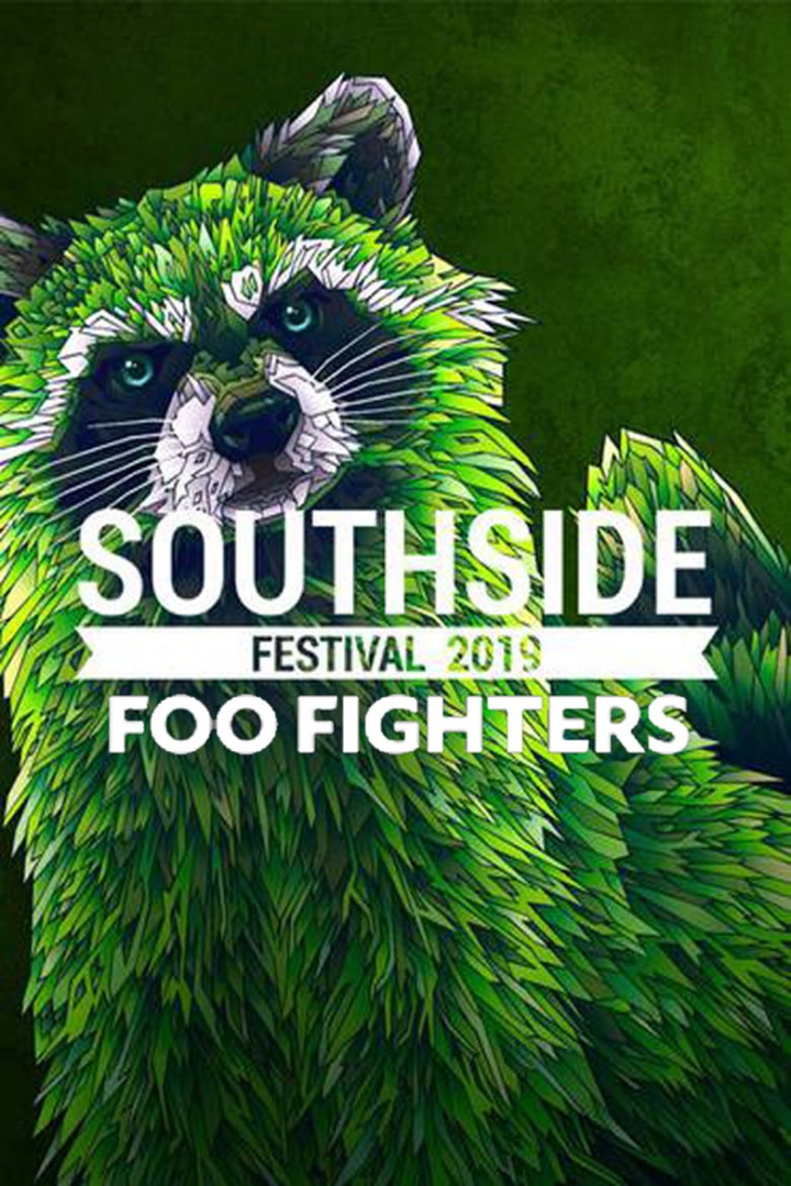 Foo Fighters: Southside Festival 2019 i gruppen Alla filmer / Music hos Mohamad shop (626588)