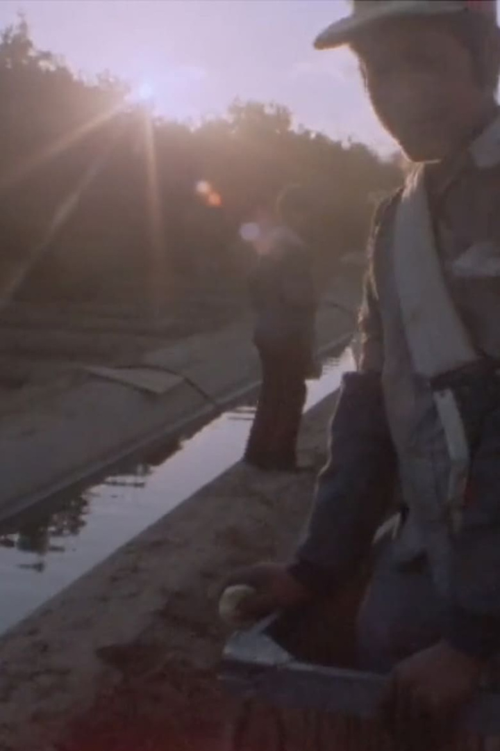 El Otro Lado i gruppen Alla filmer / Documentary hos Mohamad shop (626687)