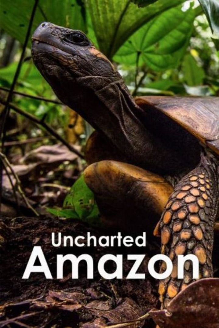 Uncharted Amazon i gruppen Alla filmer / Documentary hos Mohamad shop (626968)