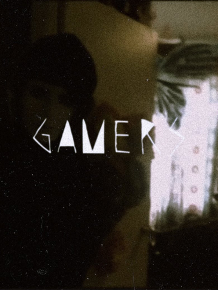 GAMERS i gruppen Alla filmer hos Mohamad shop (627356)
