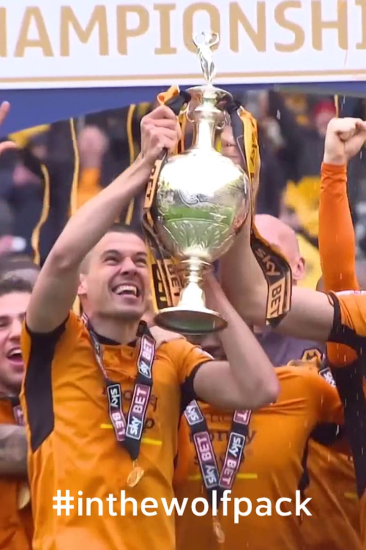 Wolves: In The Wolf Pack i gruppen Alla filmer / Documentary hos Mohamad shop (627933)